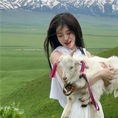 伊普克雷斯档案